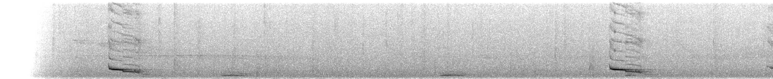 ムネアカジカッコウ - ML644421629