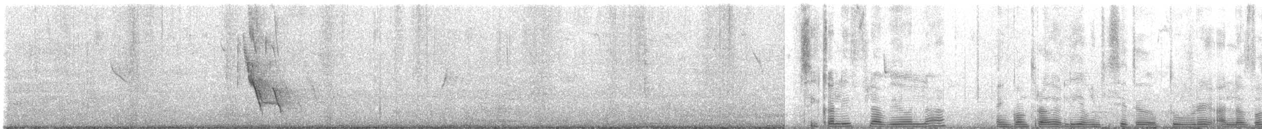 Chirigüe Azafranado - ML644422043