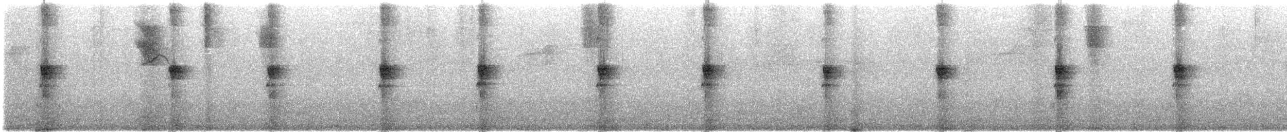 Colibrí de Santa Marta - ML644422335