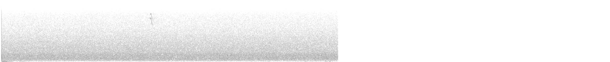 Chingolo Sabanero - ML644422344