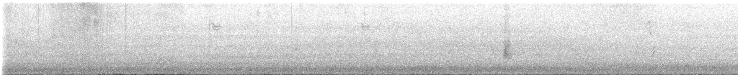 Paseriforme sp. - ML644422497