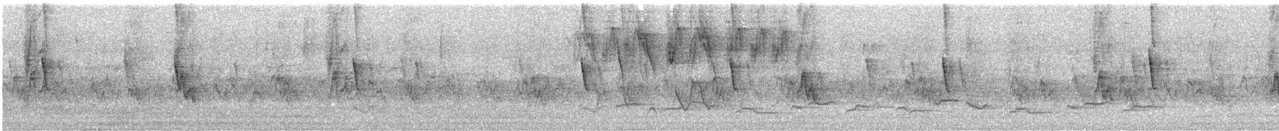 Chingolo Común - ML644422527