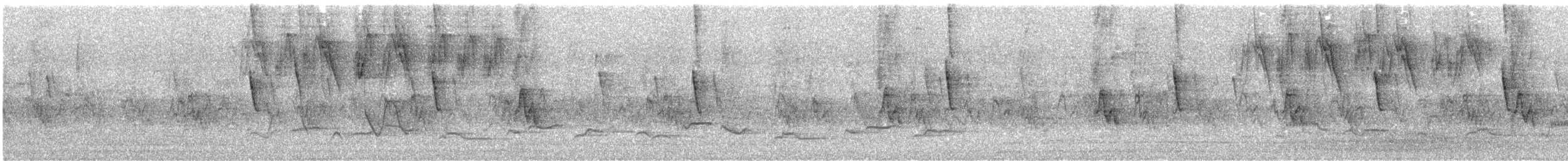 Chirigüe Azafranado - ML644422532