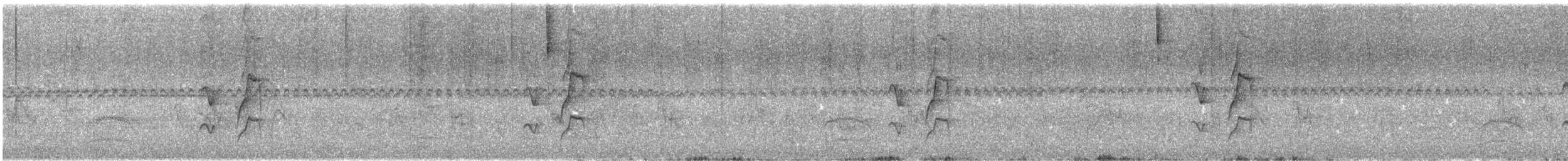 Pijuí Frentigrís - ML644423064