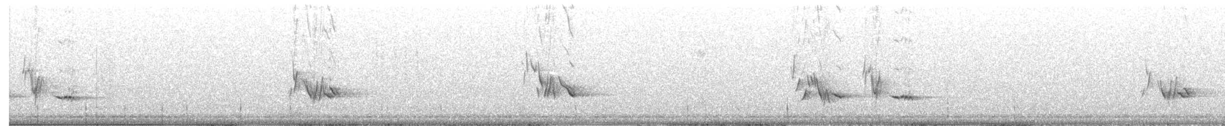 ハエトリツグミ - ML644423544