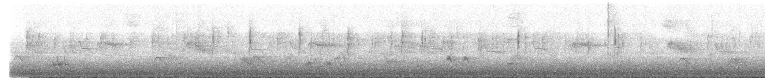 passerine sp. - ML644423588