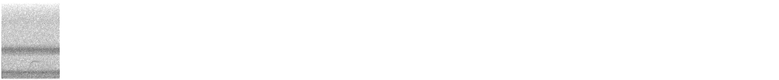 Swainson's Thrush - ML644423648