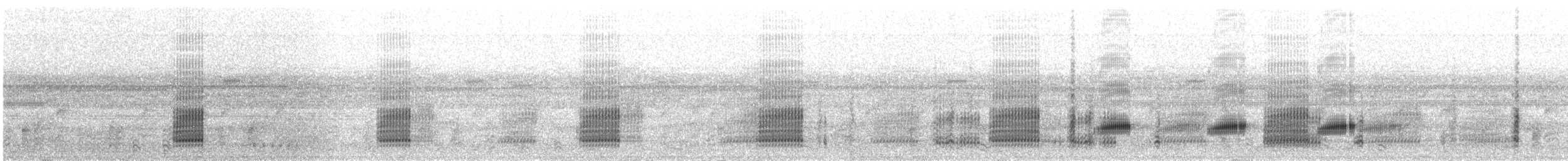 Red Snouted Tree Frog - ML644424114