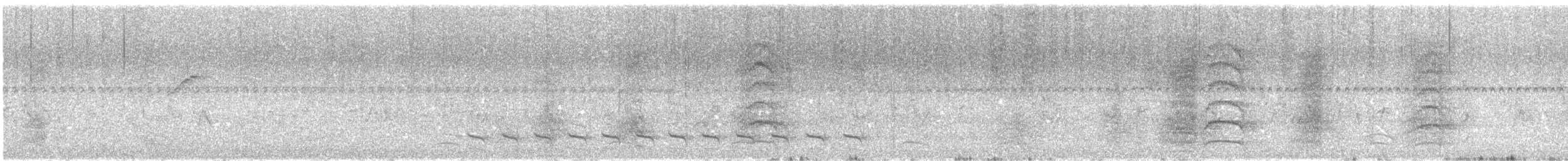 Variable Antshrike - ML644424197