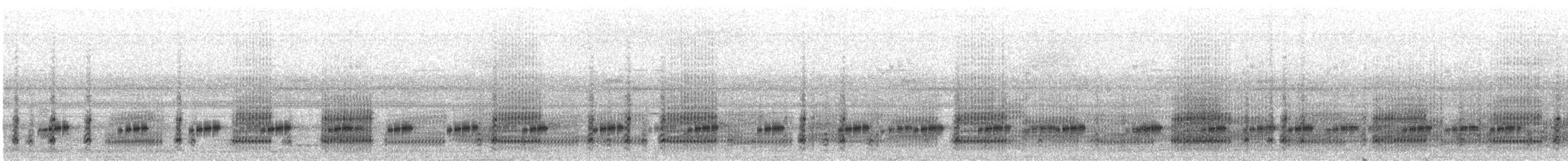 Variable Clown Tree Frog - ML644424420