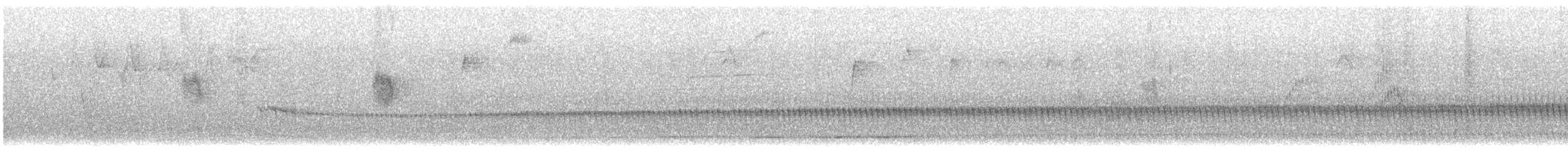 Trilling Tapaculo - ML644424440
