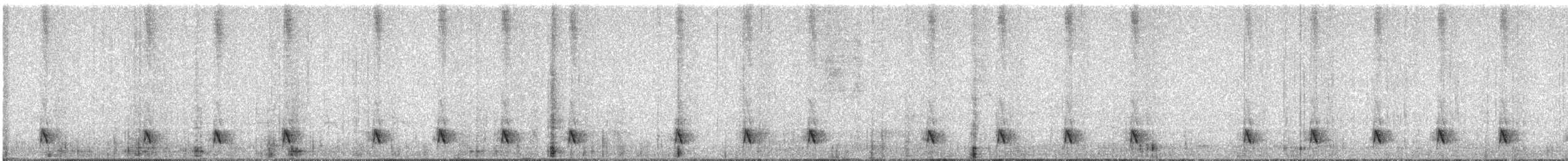 Blackish Tapaculo - ML644424795