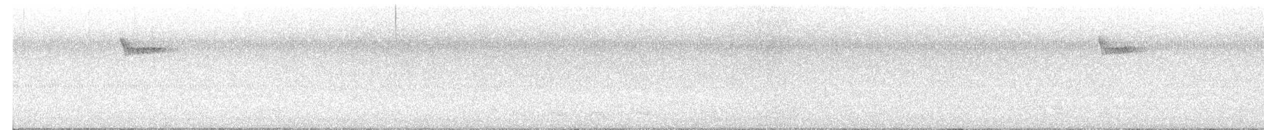 Brown Creeper - ML644425622