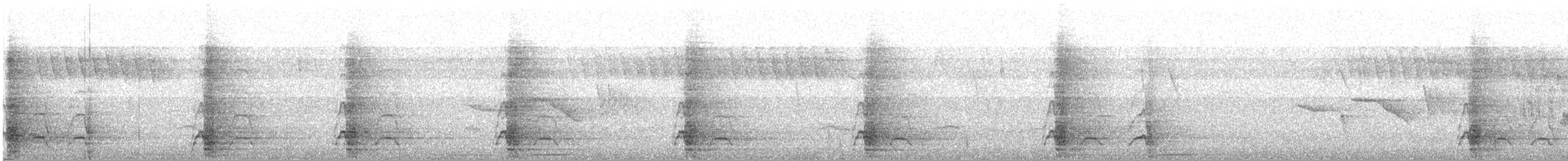 Yungas Guan - ML644426806