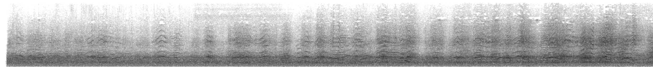 Oie des neiges - ML644427047