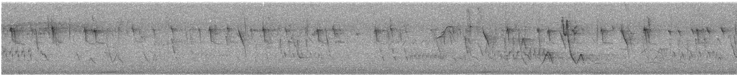 Large-tailed Dove - ML644427455