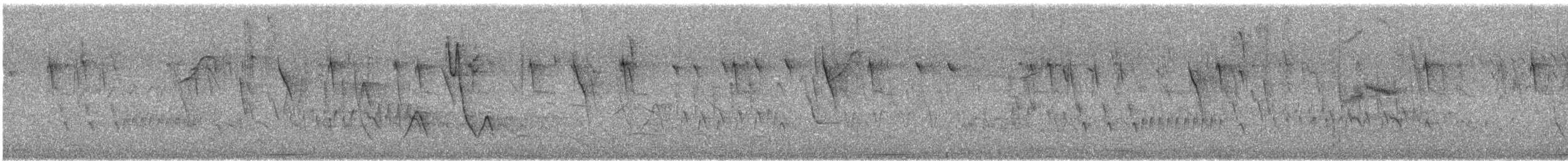 キバシイカル - ML644427498