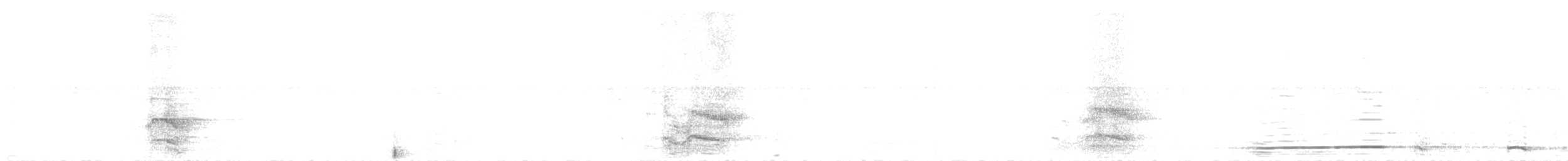 Chouette hulotte - ML644427823