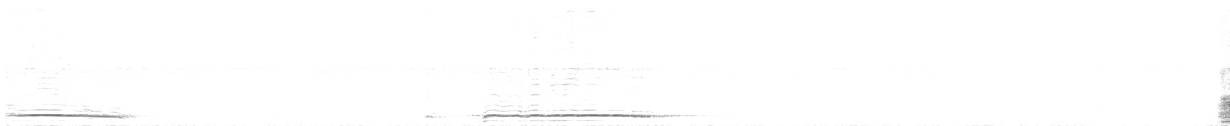 Chouette hulotte - ML644429254