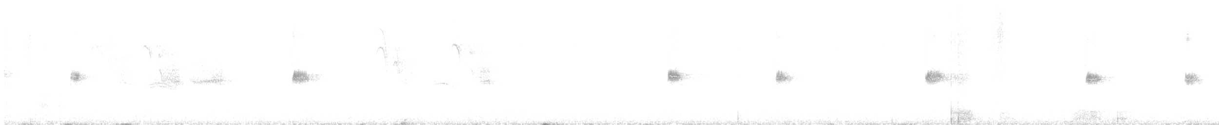 ムナジロミソサザイ - ML644429423