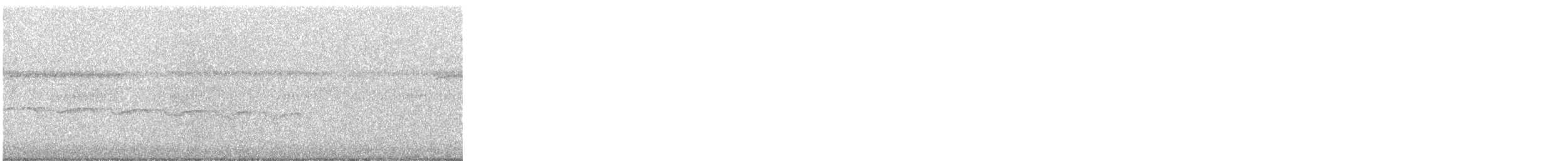 Spotted Antbird - ML644430049