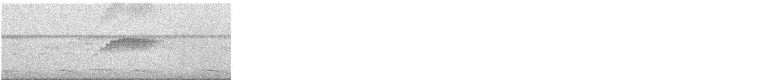 Tropical Kingbird - ML644430387