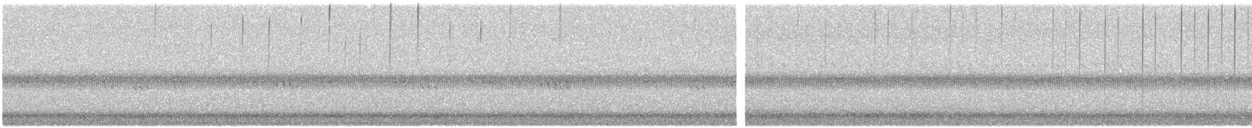 翼手目 - ML644431528