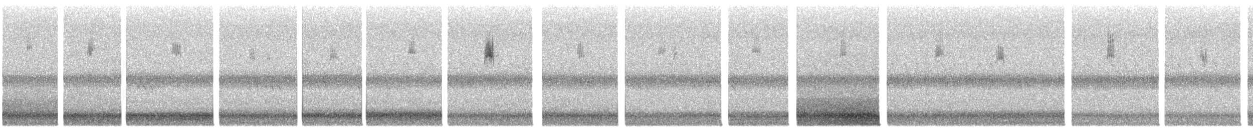 Parulidae sp. - ML644431600