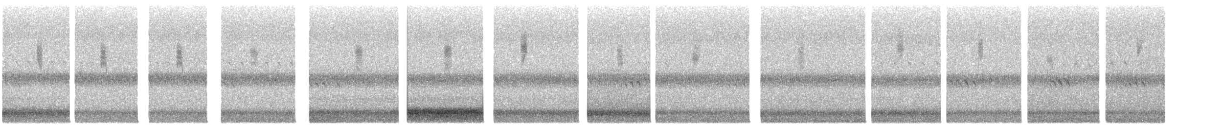 Parulidae sp. - ML644431659