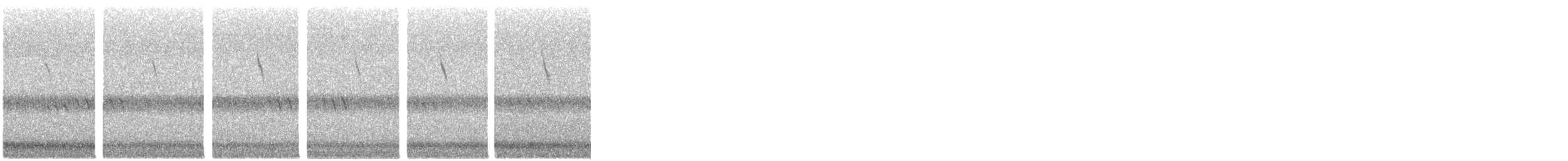 Очковая древесница - ML644431711