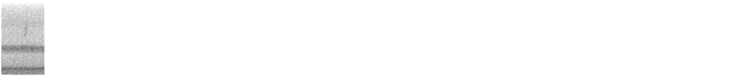 Nashville Warbler - ML644431783