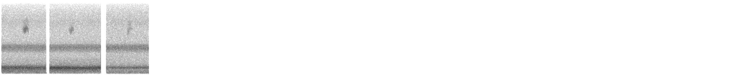 Black-and-white Warbler - ML644431889