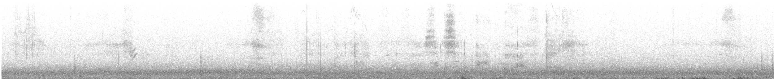 Geai du Mexique (groupe wollweberi) - ML644431892