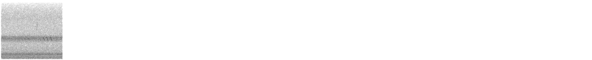 American Redstart - ML644432079