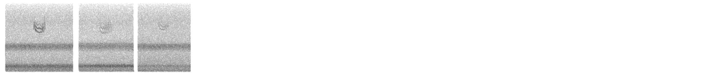 White-throated Sparrow - ML644432220