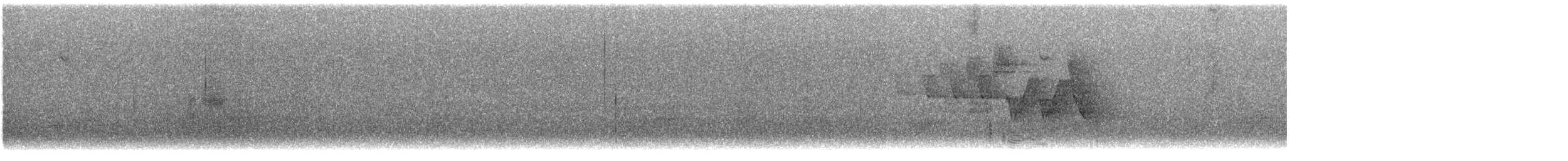 Reinita de Pensilvania - ML644432329