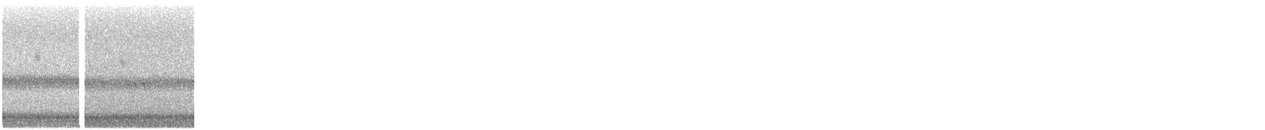 Reinita de Pensilvania - ML644432462