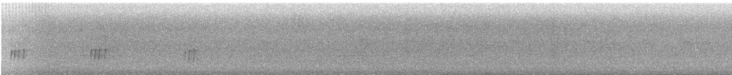 ノドジロシトド - ML644432769