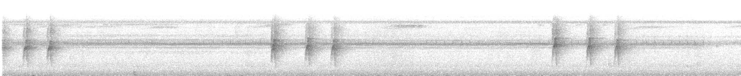 Spotted Antbird - ML644432869