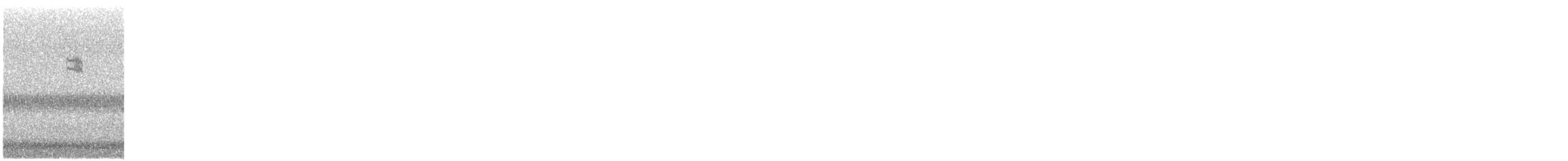 ネルソントゲオヒメドリ - ML644433247