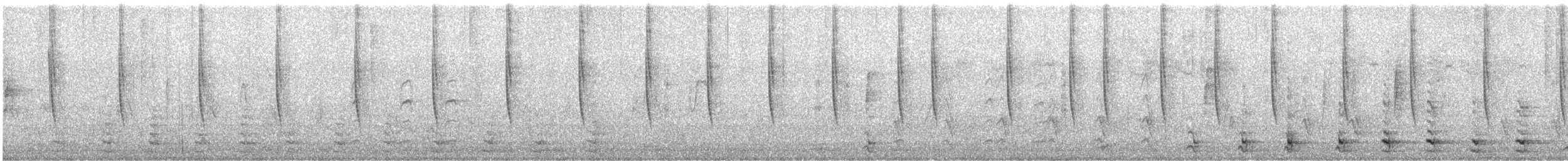 Broad-tailed Hummingbird - ML644433724