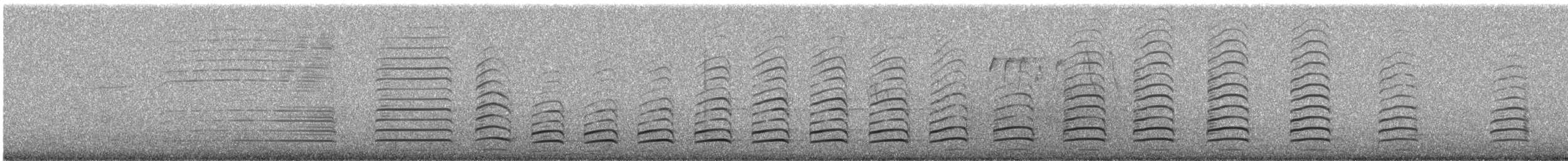 Goéland siméon - ML644433731