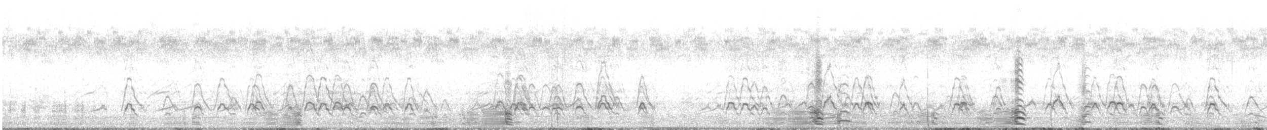 アメリカヒドリ - ML644433736