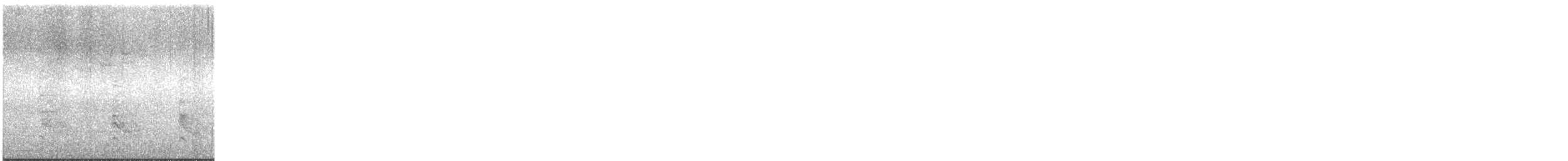 シマセゲラ - ML644433919