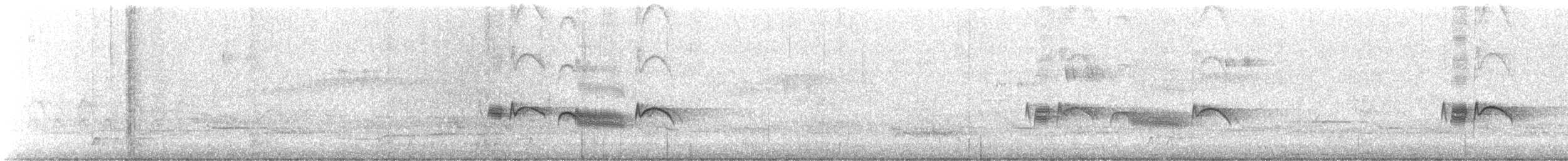 Yellow-bellied Elaenia - ML644434061