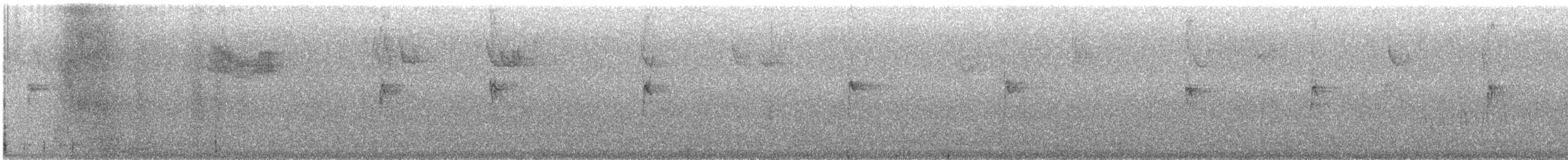 ノドジロシトド - ML644434696