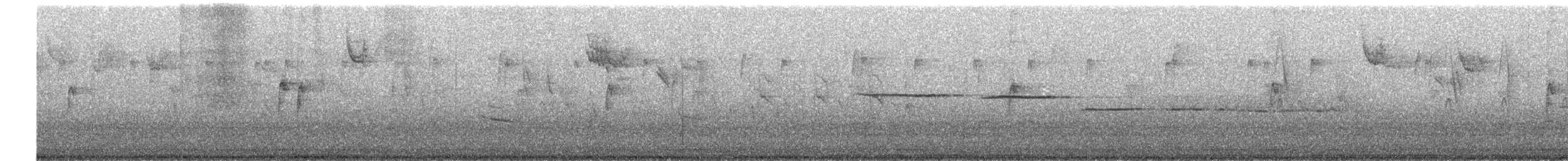 White-throated Sparrow - ML644436439