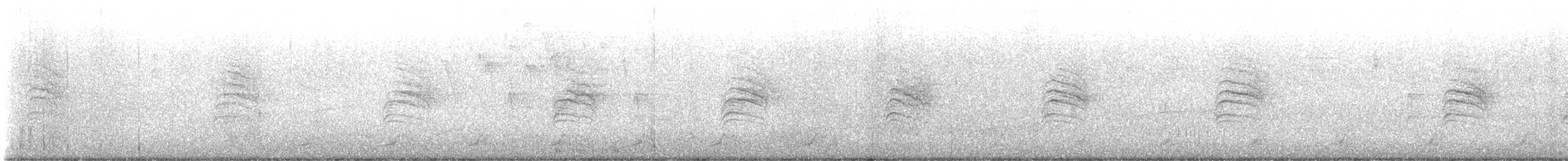 White-browed Gnatcatcher - ML644436782