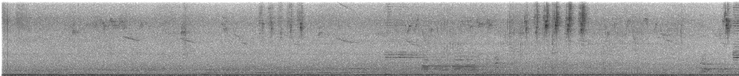 Amazilia Hummingbird - ML644437129