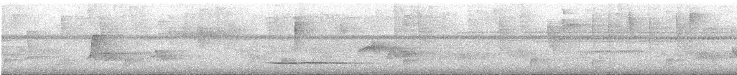 コシギダチョウ - ML644437343